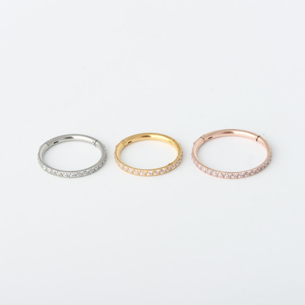 Segment Rings/ Hoops