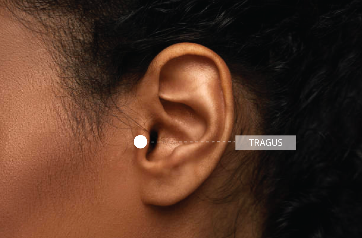 Tragus Jewellery