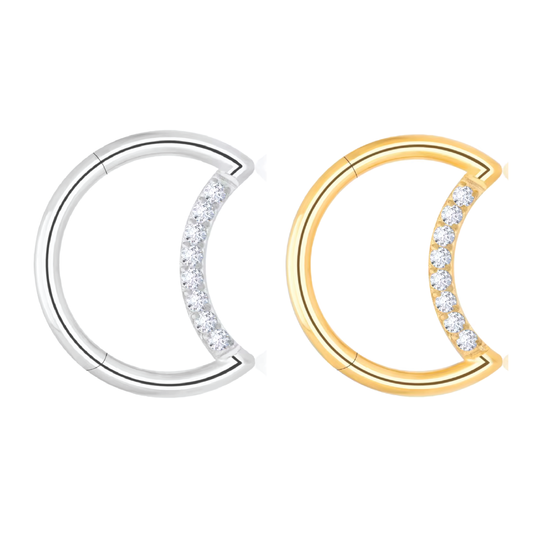 Dina - Titanium Moon Daith/ Septum Segment Ring