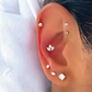 Maha - Titanium 3 Leaf Stud