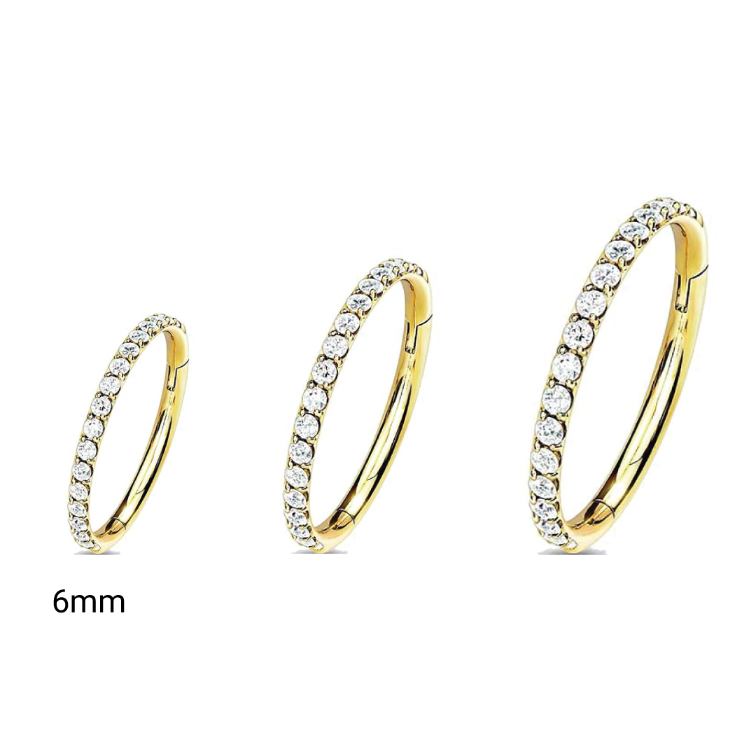 Segment ring deals earring